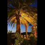Appartement Collioure *